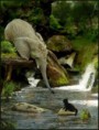 /album/fotogaleria/att00016-jpg-jpg/